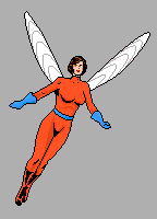 Hwk-04c.gif