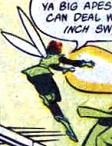 Wasp stings the gorillas