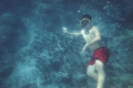 Swimmin' like a fish
