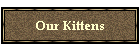 Our Kittens