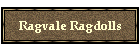 Ragvale Ragdolls