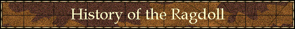 History of the Ragdoll