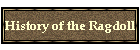 History of the Ragdoll