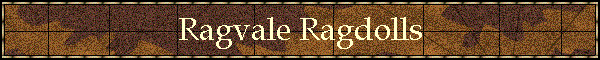 Ragvale Ragdolls