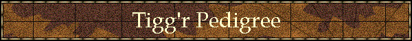 Tigg'r Pedigree