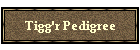 Tigg'r Pedigree