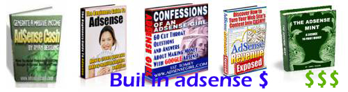 5 adsense ebook