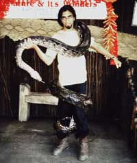 Python