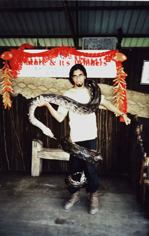with a reticulated python (Bukit Jambul Penang Malaysia)