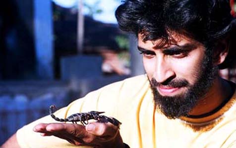 handling a scorpion