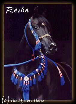 I tip-toe accrost the sands of time, The north star to guide me, the rains to quench my thirst, the sun to warm my body, the winds my companion. 