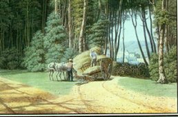 Image of coach travel