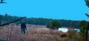 view18.jpg