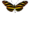 /user/Butterflymailbox.gif