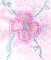 /user/DETAILEDFLOWER.JPG
