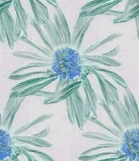 /user/FLOWERINVERT.jpg