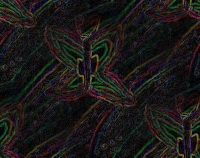 /user/LonsButterflytiled.jpg