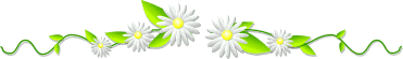 /user/daisybar.gif