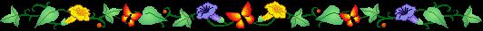 /user/flower2boarder.gif