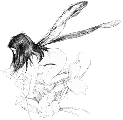 /user/flowerfairy.gif