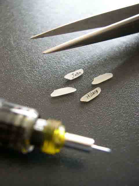 Art of Rice