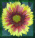 Littleflower.gif (2322 bytes)