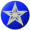 Star.gif (1522 bytes)