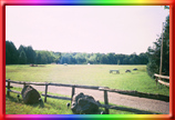 riverview