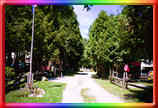street