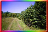trail