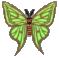 I just love butterflies...don't you? :)(: