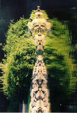 image of NY Central Park reflection