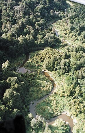 Photo of flat bottomed river vally in the Waitora forest.  Photo by JC or NM