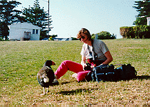 Mr. Blue and I on Tiritri Matangi Island