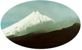 Photo from Taranaki Polytech page
