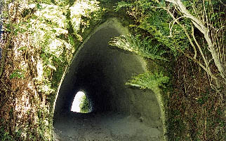 One of the classic Tangarakau Valley tunnels