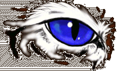 No Frames Version