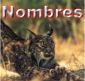 Nombres vern�culos en diferentes idiomas.