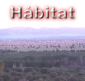 H�bitat y distribuci�n del lince ib�rico