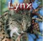 Taxonomia