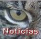 �ltimas noticias del lince ib�rico