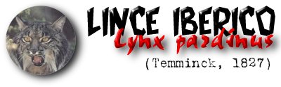 Lince ib�rico
