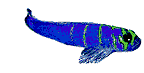 Glub glub � � �
