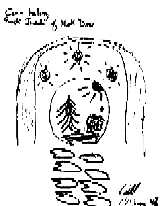 Click on picture to see larger image