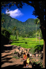 Bangle Valley