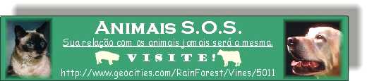 BannerAnimais2 (Lenita)