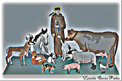 SFA (Animais SOS)