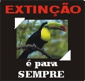 Selo extin��o (Lenita)