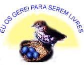 Selo ovinhos