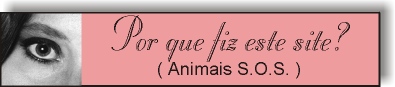 Pq fiz este site?